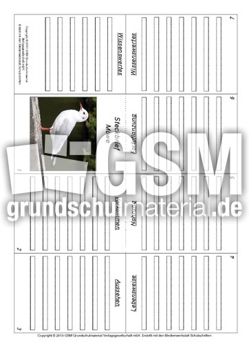 Faltbuch-Möwe.pdf